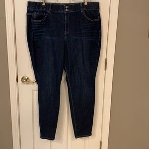 Lane Bryant Tighter Tummy Jeans